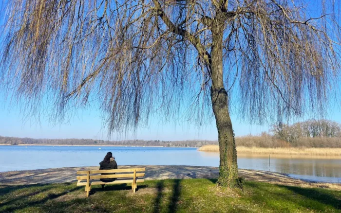 L&rsquo;étang du Puits, la plage de la Sologne du Cher qui est d&rsquo;abord une réserve