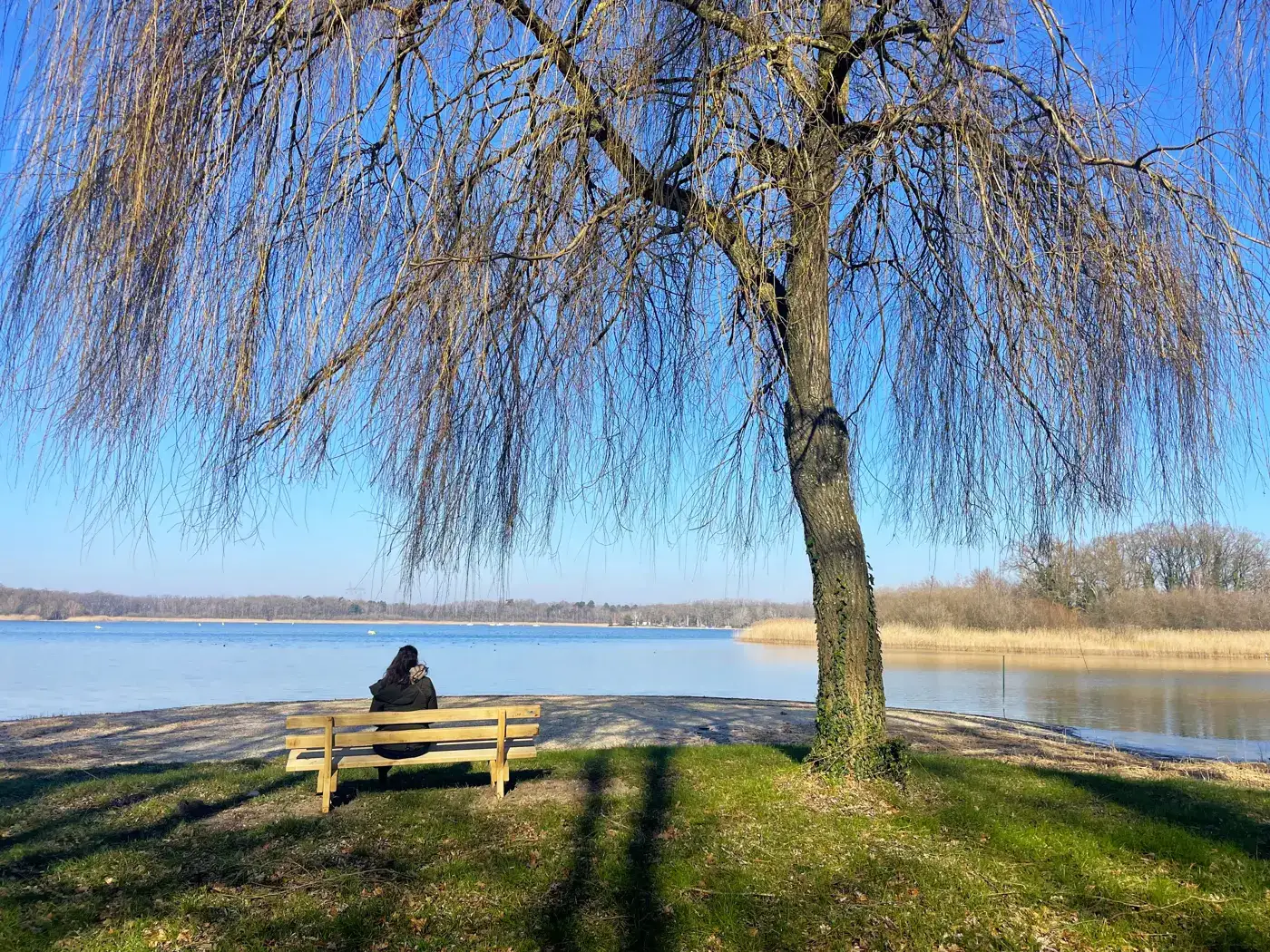 L&rsquo;étang du Puits, la plage de la Sologne du Cher qui est d&rsquo;abord une réserve