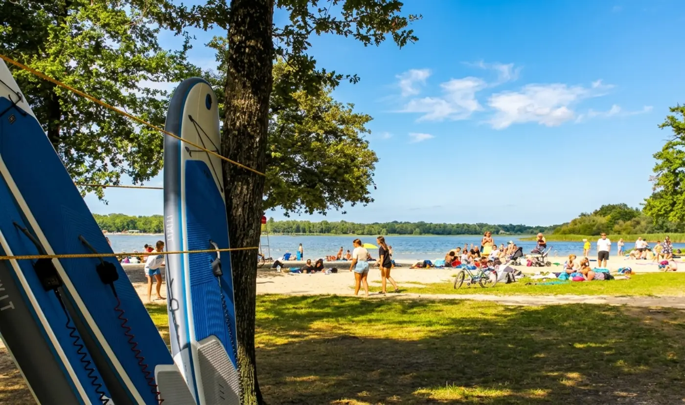 La plage de l'étang du Puits en été
