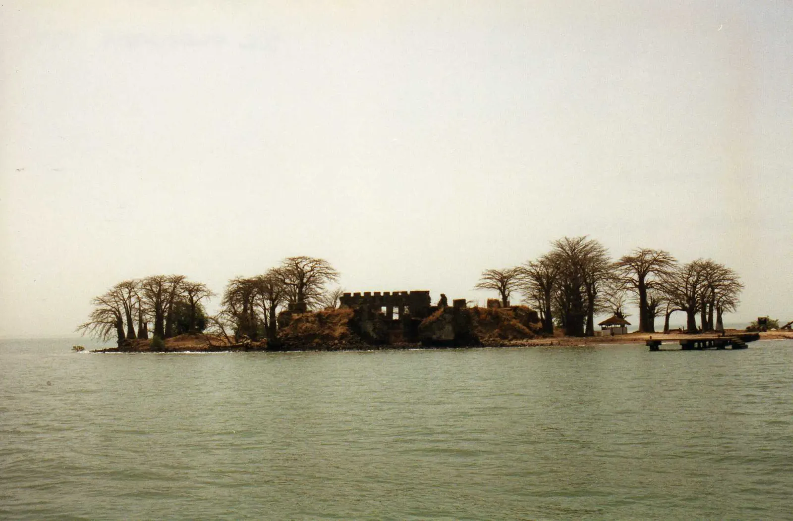 L'île de Kunta Kinteh sur le fleuve Gambie, avec ses ruines de fort et ses baobabs