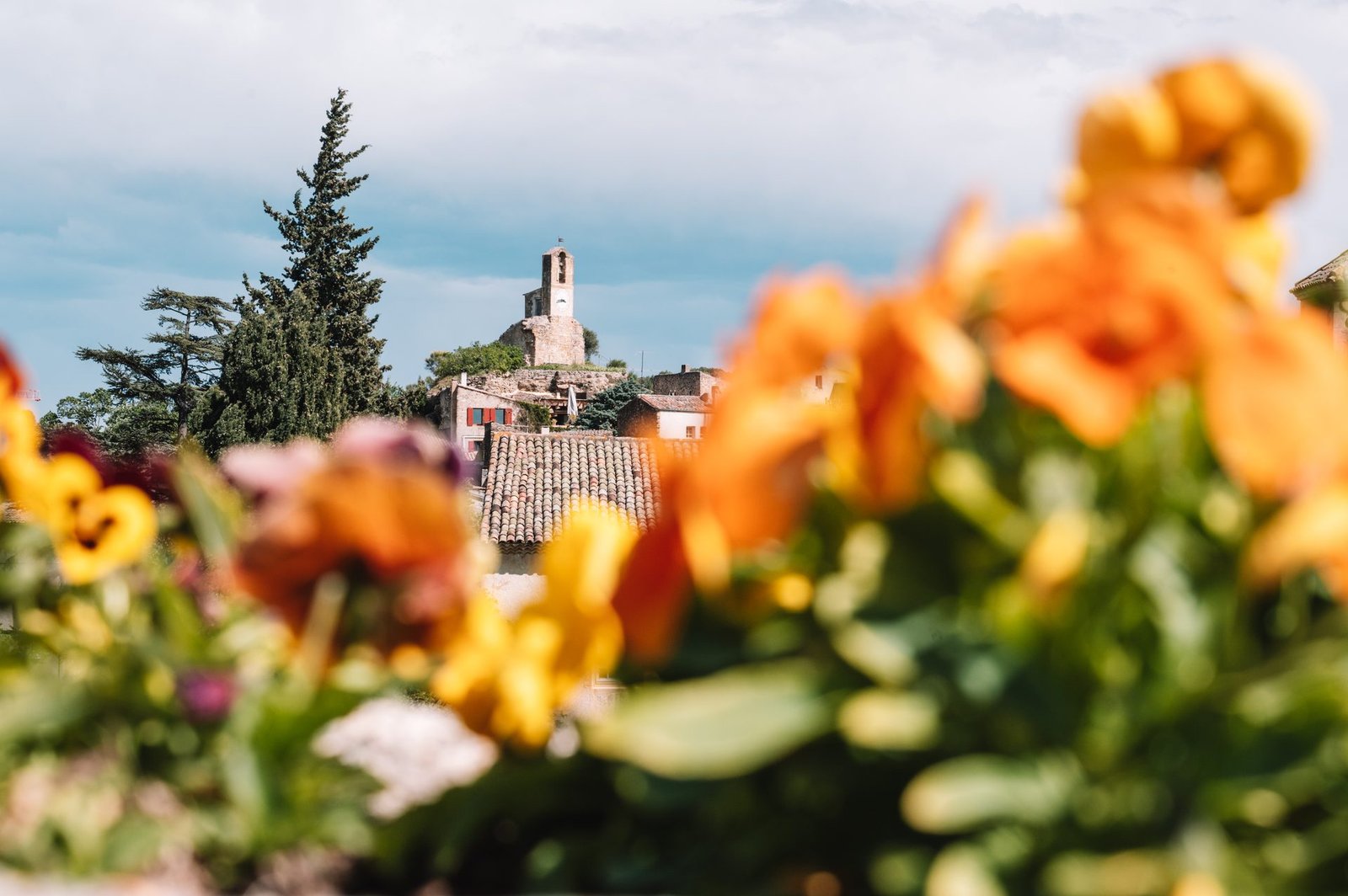 Le clocher de Lourmarin derrière des fleurs