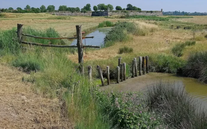 Marais de Brouage : balades à pied et à vélo, de la citadelle à la tour de Broue