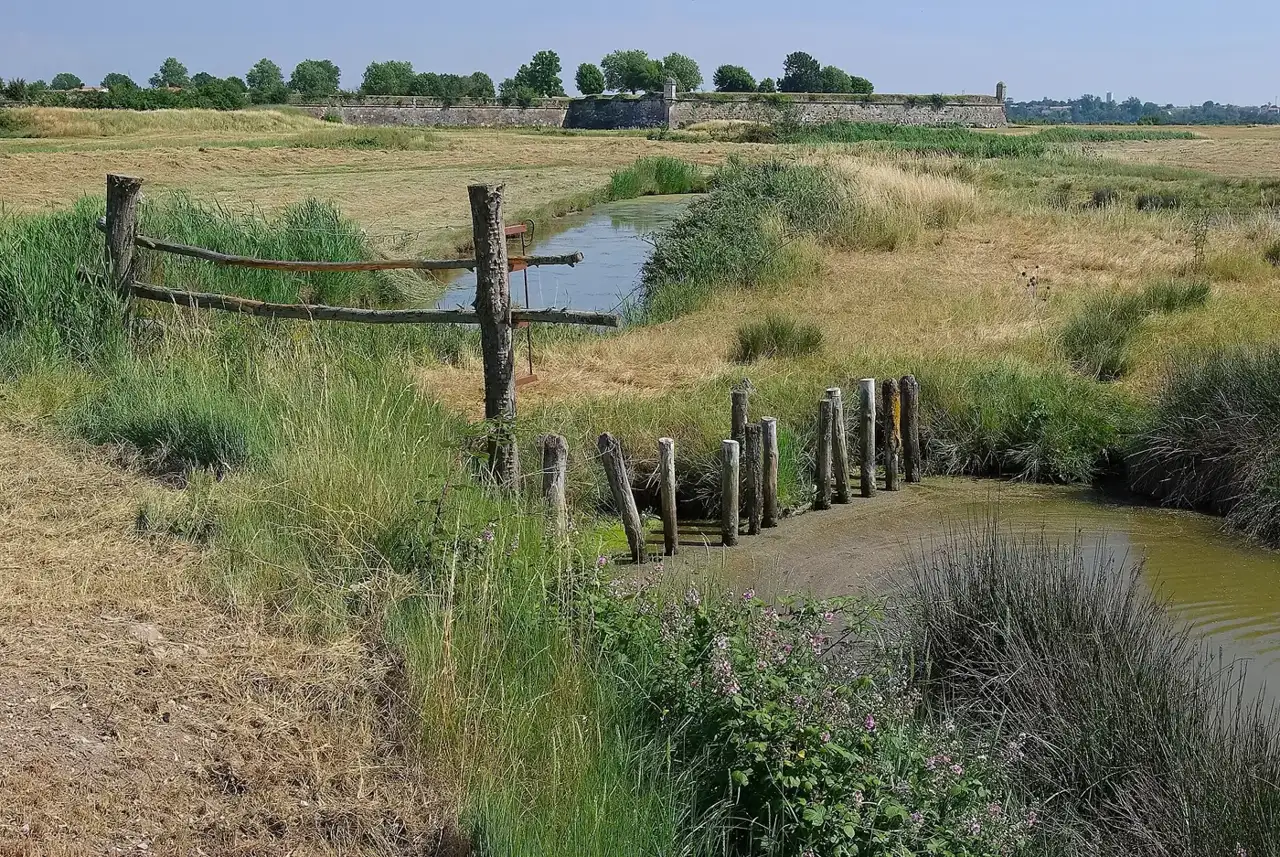Marais de Brouage : balades à pied et à vélo, de la citadelle à la tour de Broue