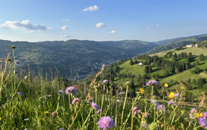 Randonnée à La Bresse : les plus beaux itinéraires des Hautes Vosges
