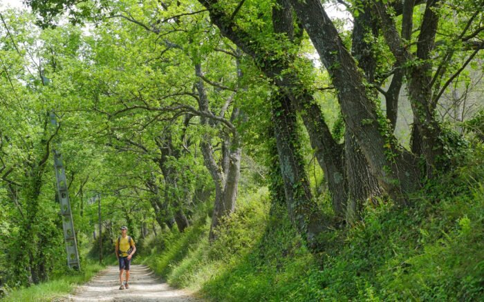 Randonnées et balades autour de Lourmarin, du village au Grand Luberon