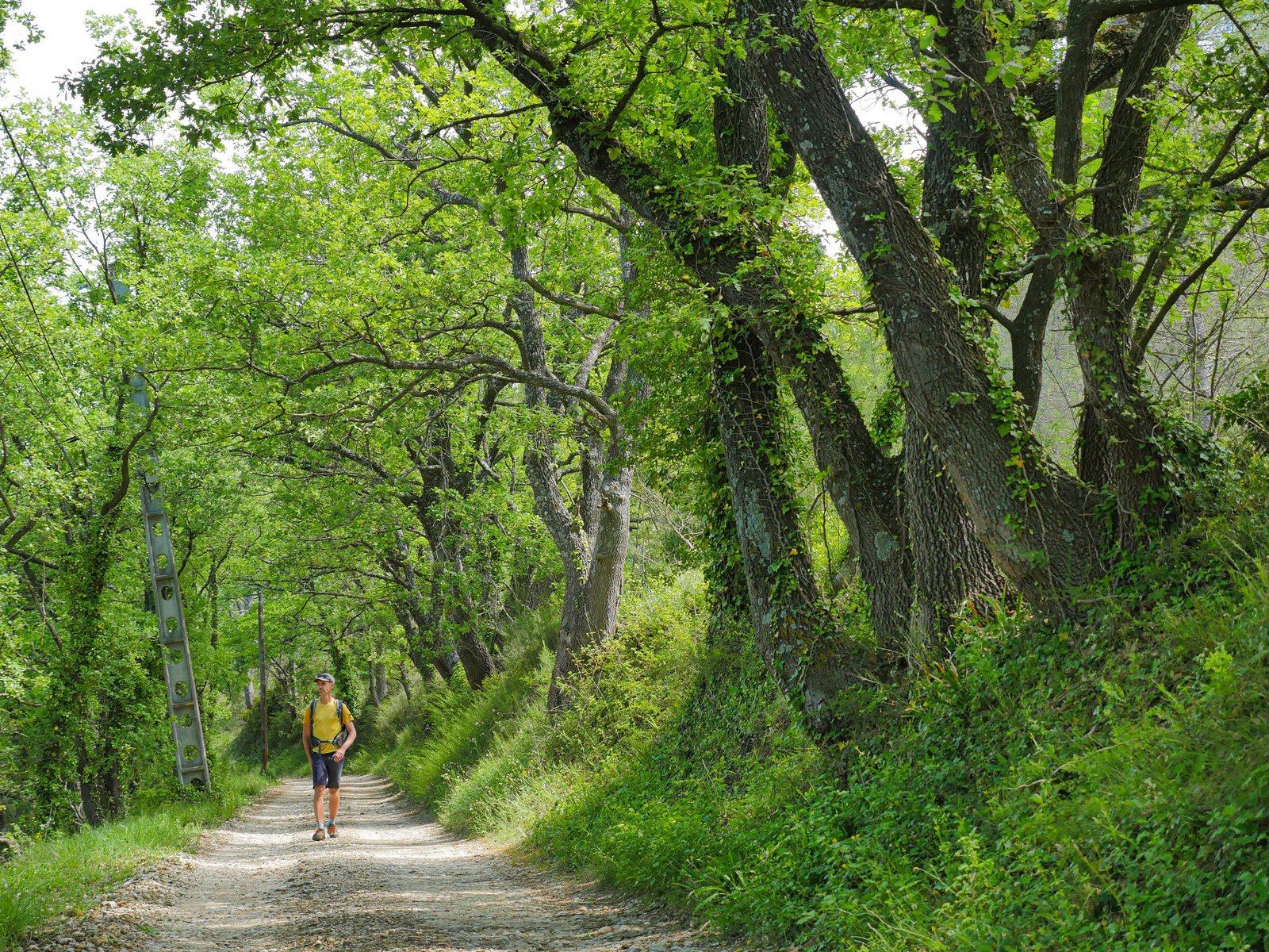 Randonnées et balades autour de Lourmarin, du village au Grand Luberon