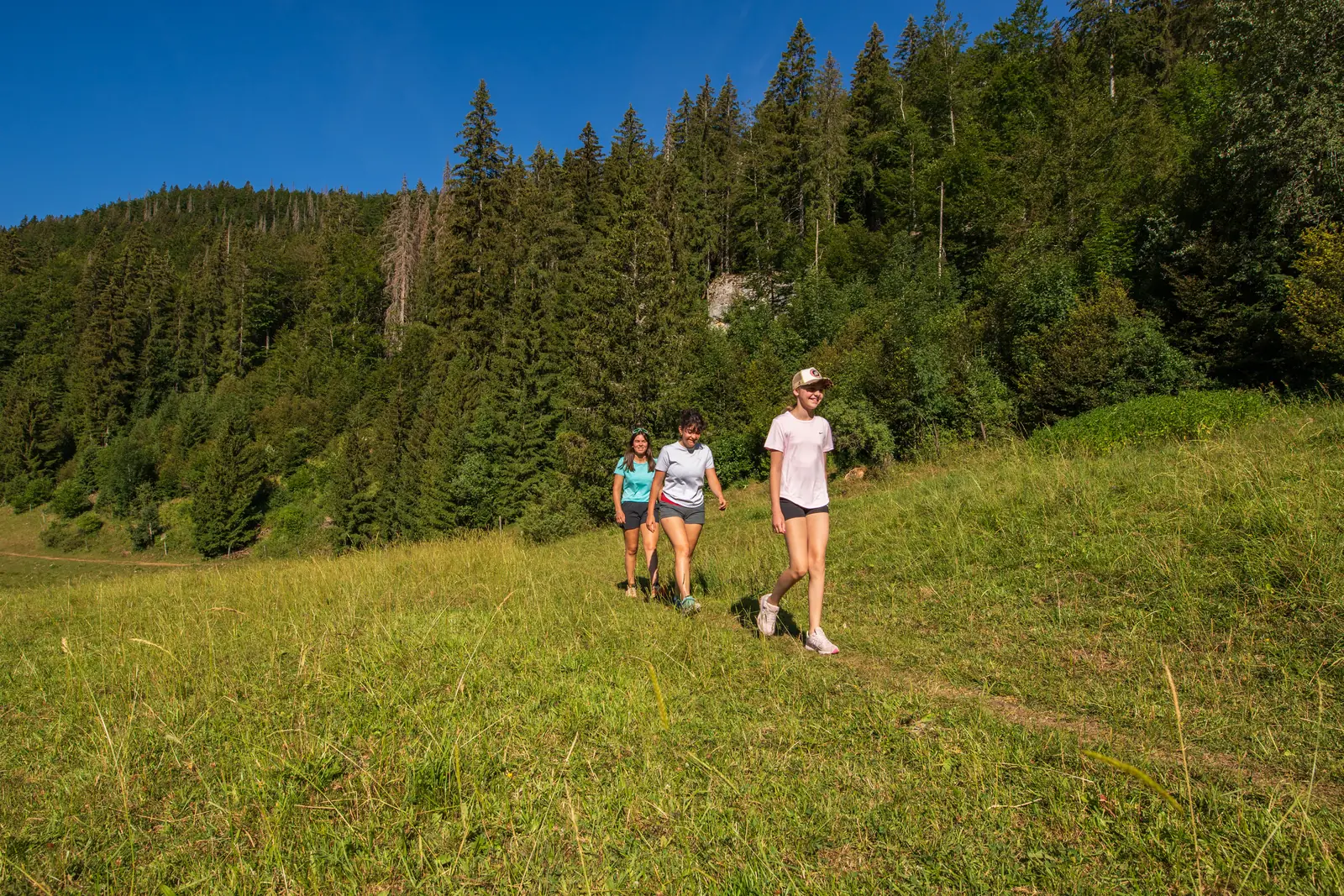 Randonneuses dans une prairie d'altitude bordée d'épicéas, en été