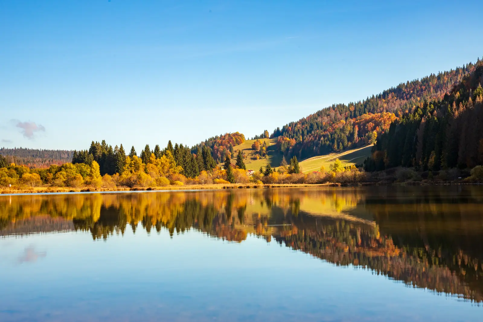 Reflets d'automne sur un lac du Haut-Jura