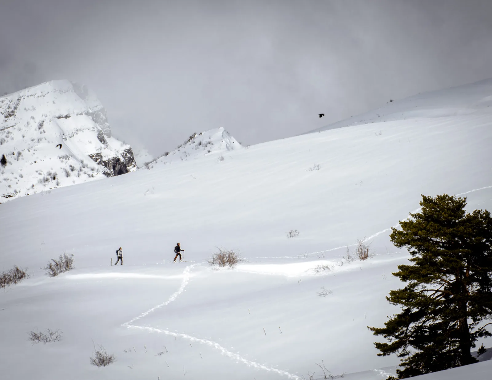 Deux skieurs de fond sur un plateau du Vercors, à quarante minutes de Grenoble