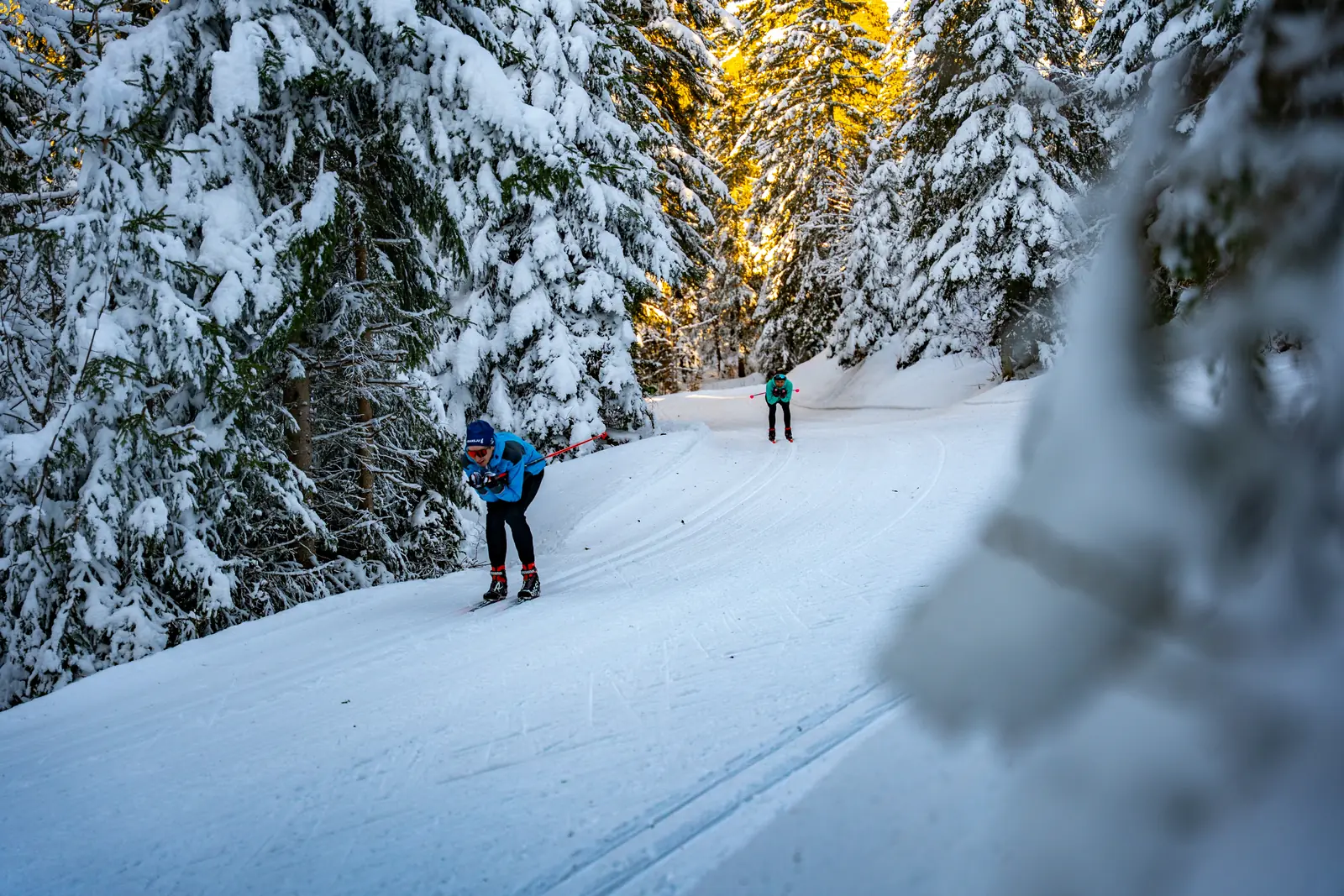 Skieurs de fond sur une piste en sous-bois enneigé