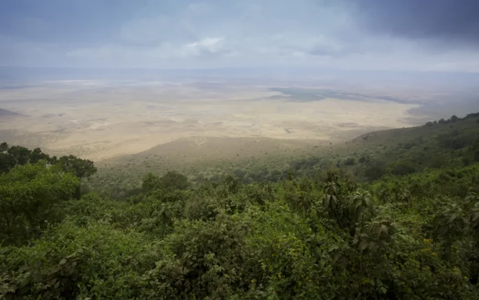Combien coûte un safari en Tanzanie : la grille officielle, poste par poste