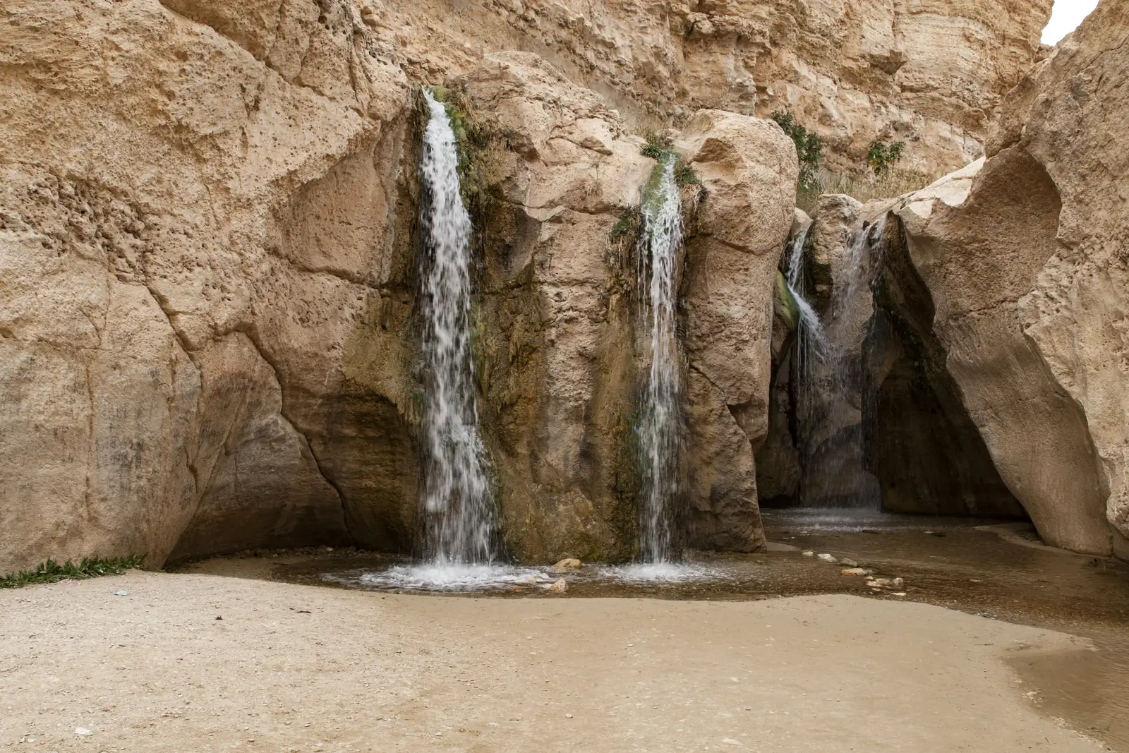 Les cascades de l'oasis de Tamerza tombant d'un rocher dans un bassin