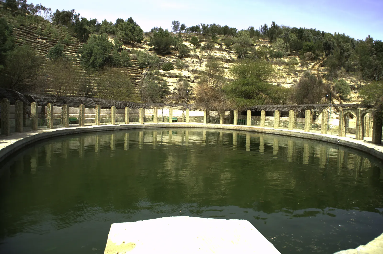 Le bassin de la Corbeille de Nefta entouré de colonnes, au pied des pentes de la palmeraie
