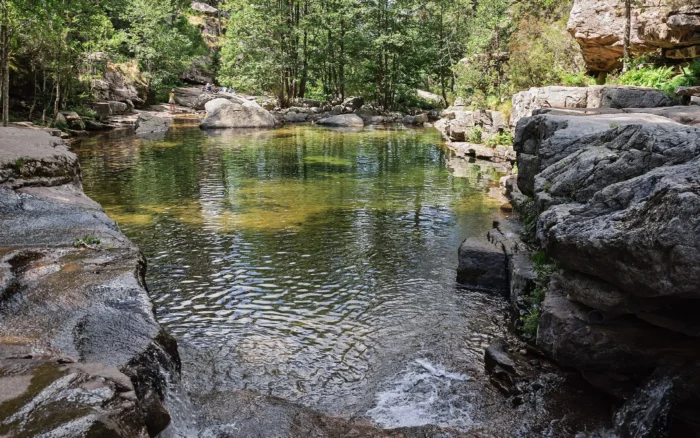 Forêt d&rsquo;Aïtone : pins laricio et piscines naturelles au-dessus d&rsquo;Evisa