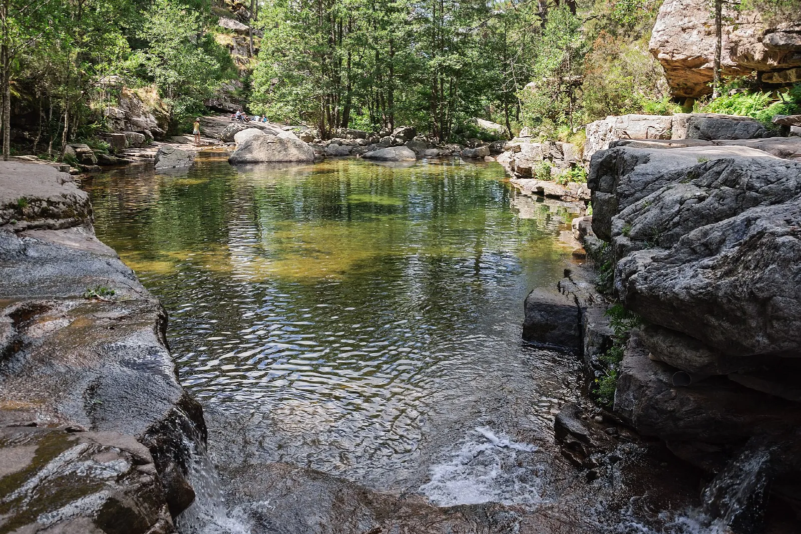 Forêt d&rsquo;Aïtone : pins laricio et piscines naturelles au-dessus d&rsquo;Evisa