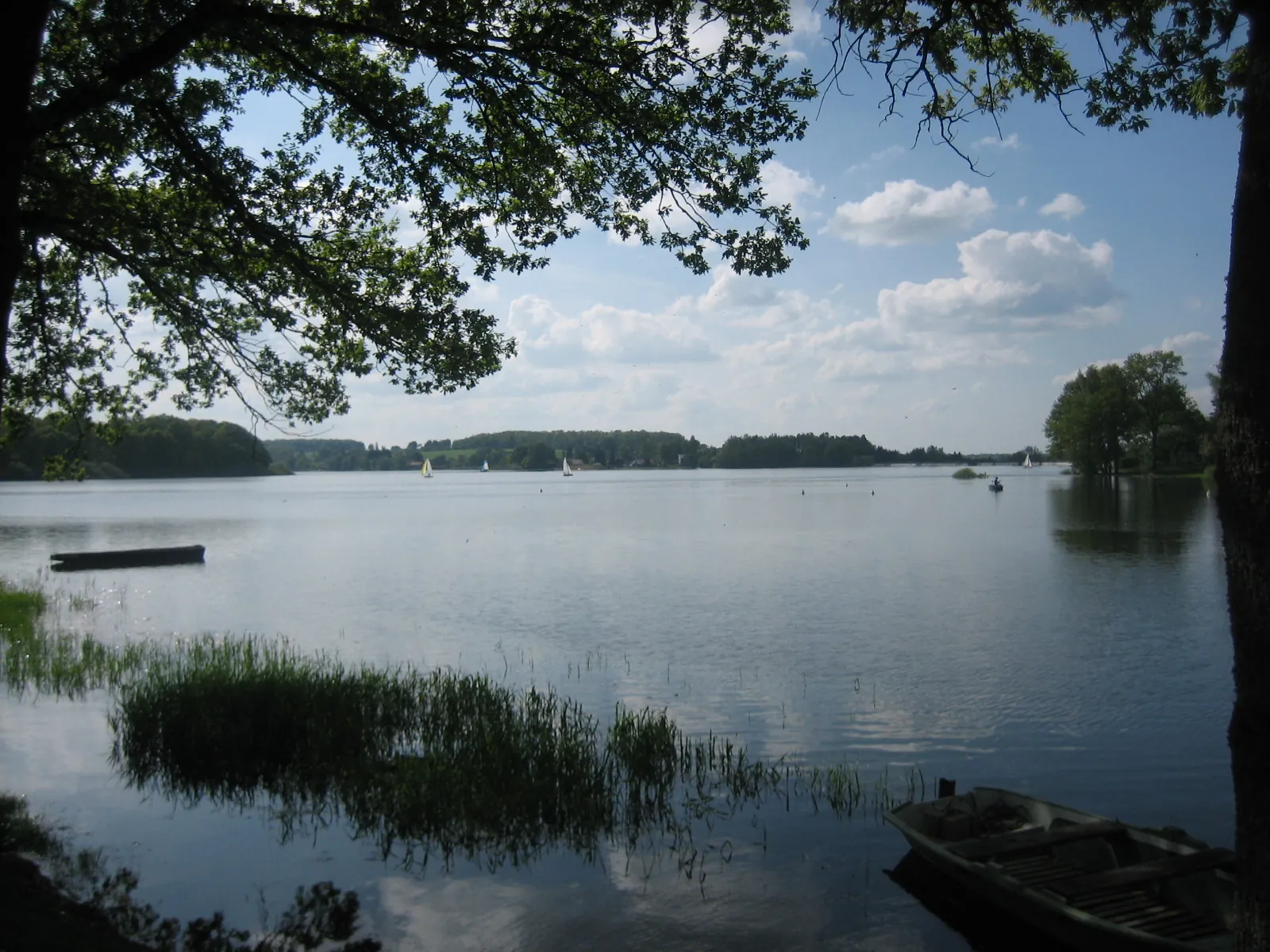 Le bois Beaudoin et le canal des Vosges : marcher et pédaler autour de Xertigny