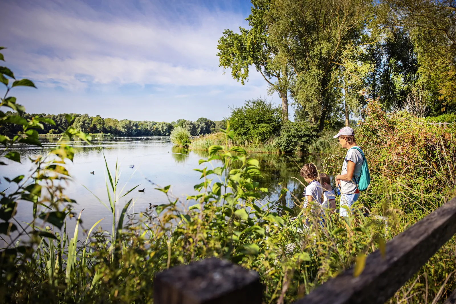 Vue du lac du Héron, à Villeneuve-d'Ascq, l'un des espaces naturels de la métropole lilloise