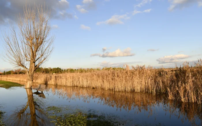Le marais d&rsquo;Yves, la réserve naturelle multipliée par six aux portes de la station