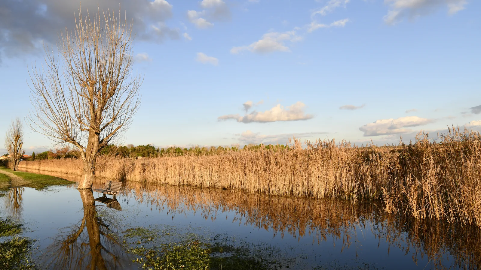 Le marais d&rsquo;Yves, la réserve naturelle multipliée par six aux portes de la station