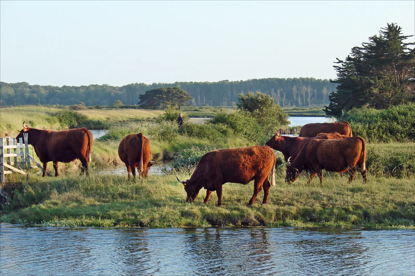 Que faire autour des Sables-d&rsquo;Olonne : marais, villages et excursions