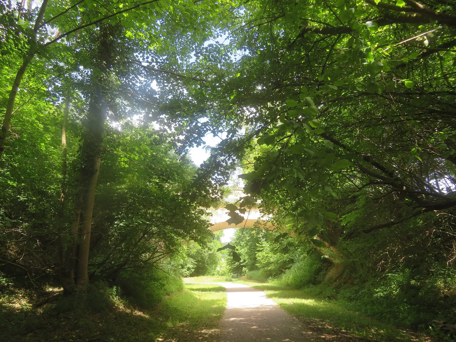 La piste cyclable Compiègne-Pierrefonds à l'entrée de Pierrefonds, en forêt de Compiègne