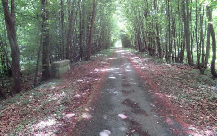 De Compiègne à Pierrefonds à vélo : la balade en forêt par Saint-Jean-aux-Bois et Vieux-Moulin