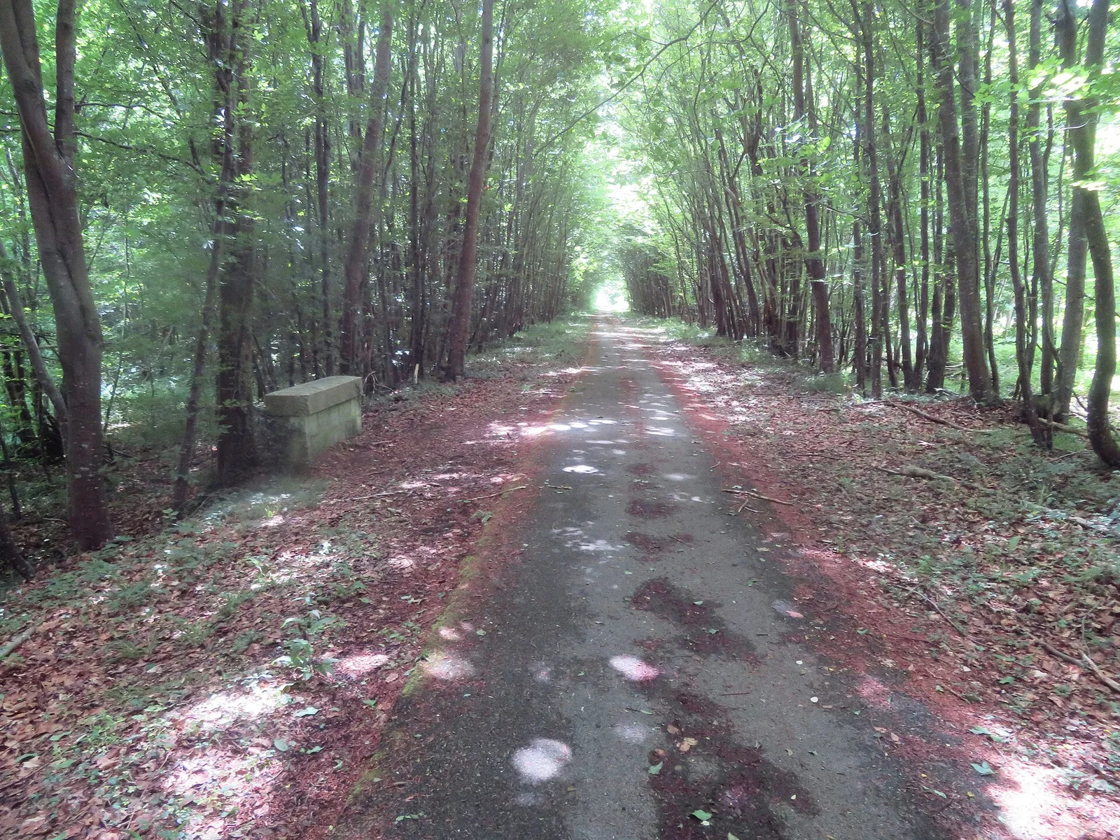 De Compiègne à Pierrefonds à vélo : la balade en forêt par Saint-Jean-aux-Bois et Vieux-Moulin