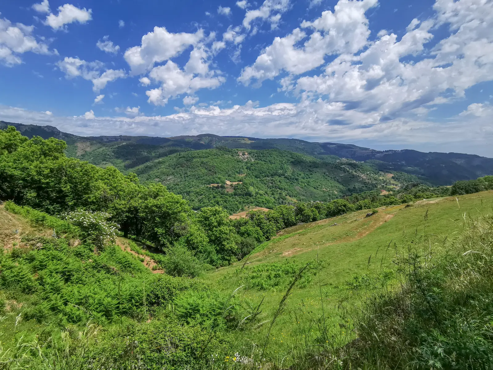 Prairies, fougères et vallées boisées des Boutières autour de Saint-Pierreville
