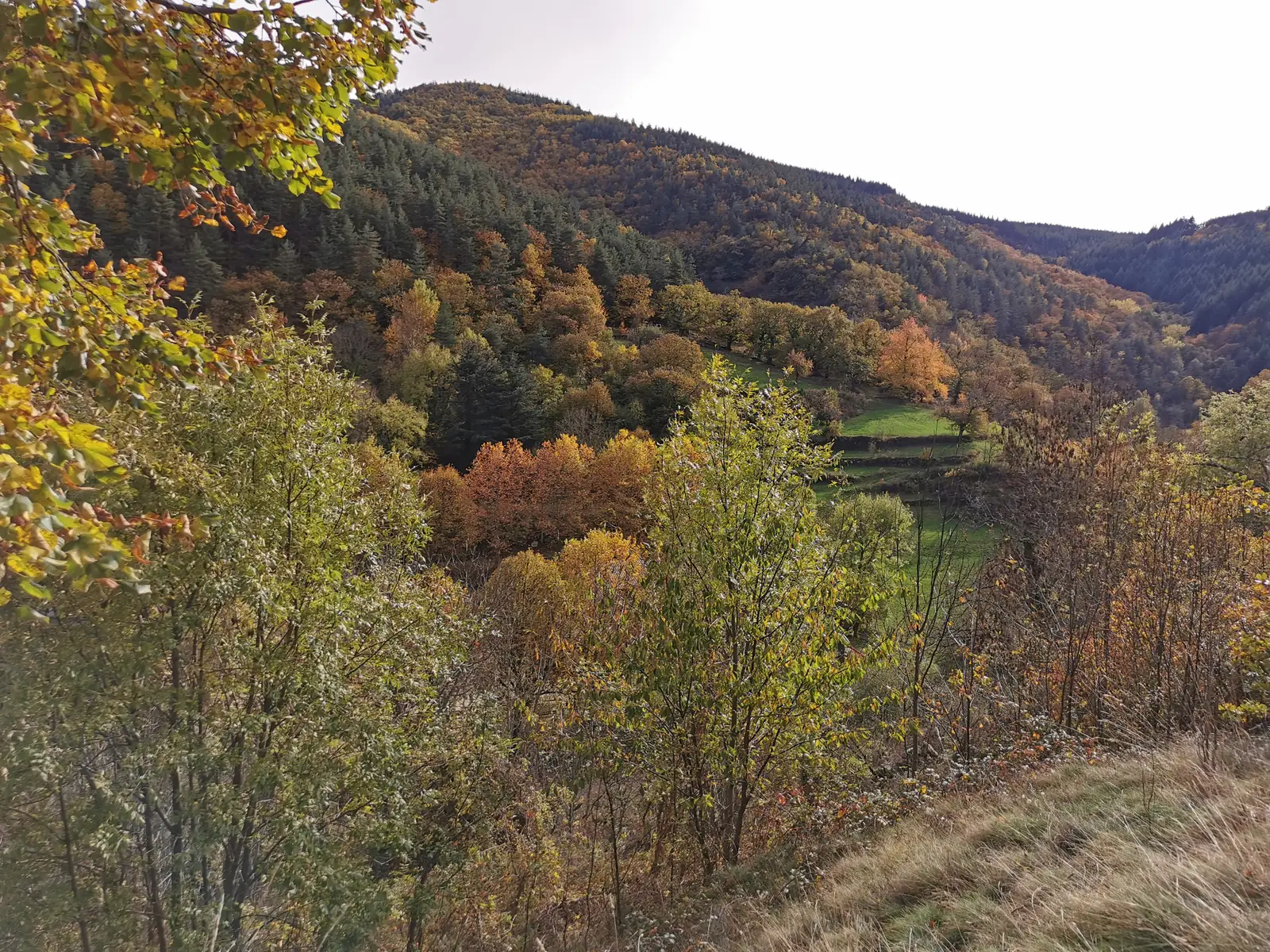 Collines boisées aux couleurs d'automne et parcelles en terrasses près de Saint-Pierreville