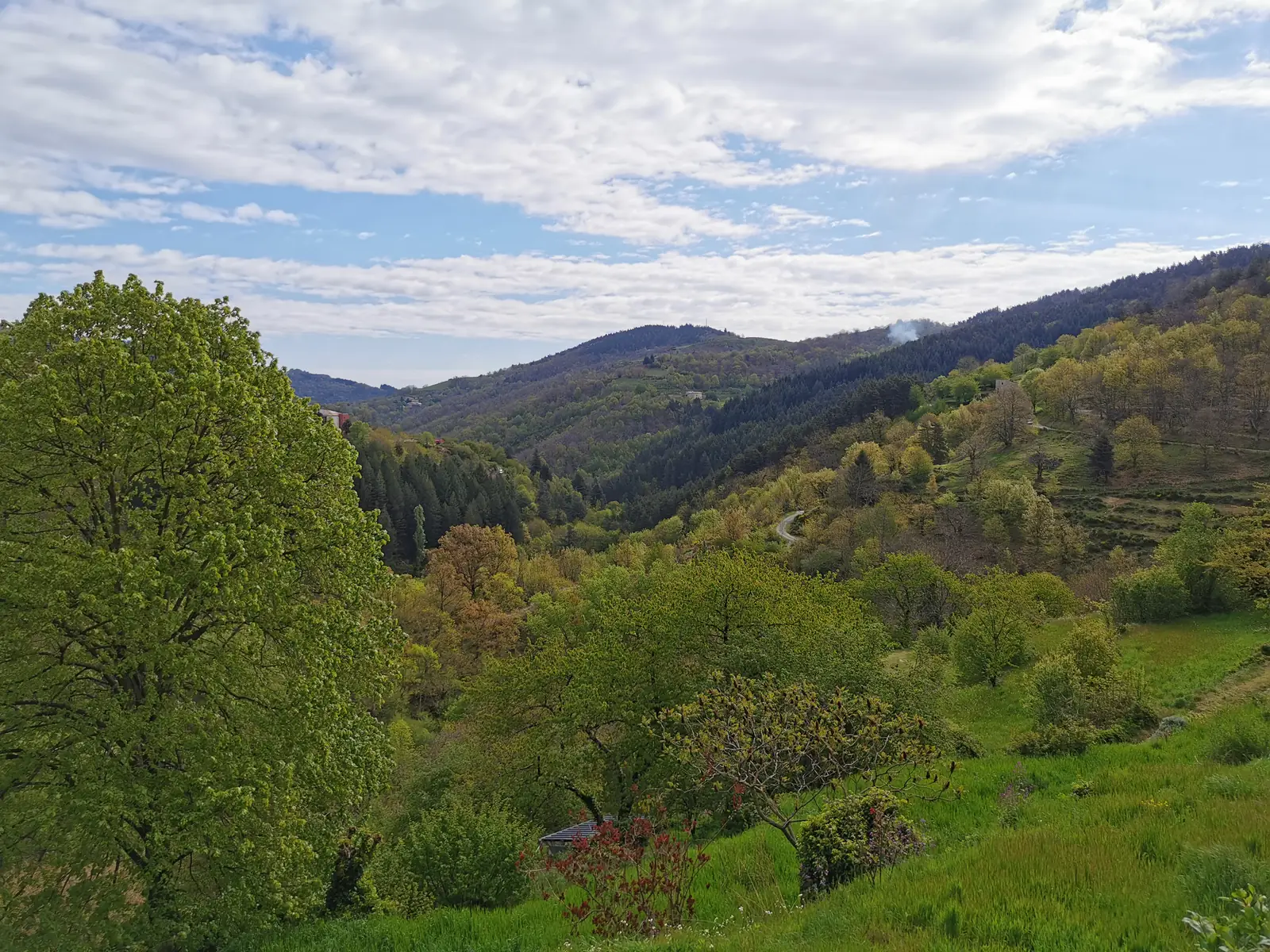 Pentes en terrasses et châtaigniers reverdis autour de Saint-Pierreville au printemps