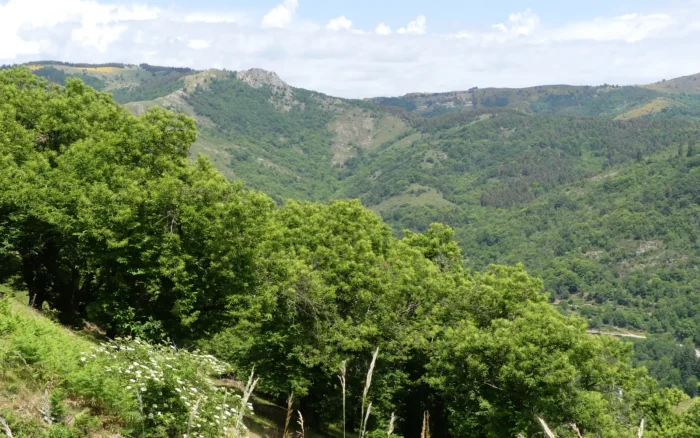 La Dolce Via en Ardèche : carte, itinéraire et conseils pour la parcourir